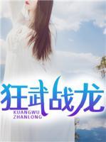 狂武戰(zhàn)龍