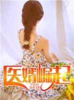 醫(yī)婿崛起