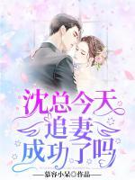 沈總今天追妻成功了嗎