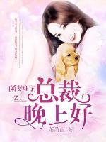 嬌妻難尋：總裁，晚上好