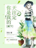 閣下，你是我的天注定