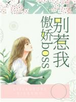 傲嬌boss別惹我