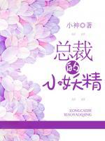 總裁的小妖精
