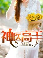 神醫(yī)高手