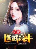 護(hù)花醫(yī)武高手