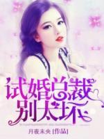 試婚總裁，別太壞