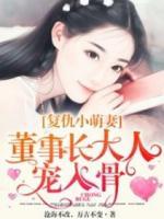 復仇小萌妻：董事長大人寵入骨