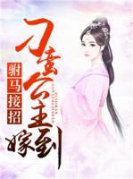 駙馬接招：刁蠻公主嫁到