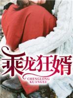 乘龍狂婿