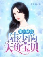 限時(shí)婚約：陸少的天價(jià)寶貝