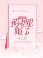 全球通緝：萌妻別鬧了