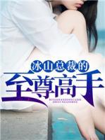 冰山總裁的至尊高手