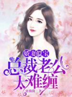 嬌妻似寶：總裁老公太難纏