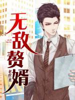 無(wú)敵贅婿
