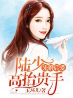 先婚后愛：陸少，高抬貴手
