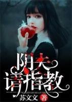 陰夫，請(qǐng)指教