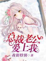 總裁老公愛上我