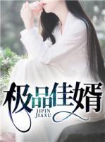 極品佳婿