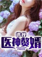 透視醫(yī)神贅婿