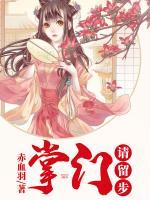 掌門(mén)，請(qǐng)留步！