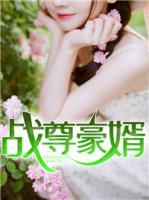 戰(zhàn)尊豪婿