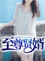 至尊賢婿