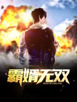 霸婿無雙