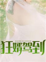 狂婿駕到