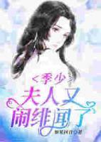 季少，夫人又鬧緋聞了