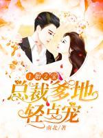 1胎2寶：總裁爹地，輕點(diǎn)寵