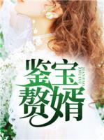 鑒寶贅婿
