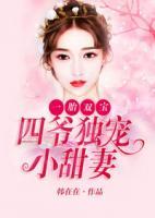 一胎雙寶：四爺獨(dú)寵小甜妻