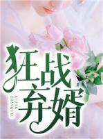 狂戰(zhàn)棄婿