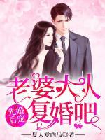 先婚后寵：老婆大人，復(fù)婚吧！