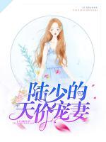 陸少的天價(jià)寵妻