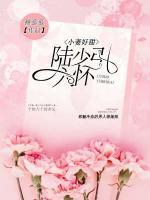 小妻好甜：陸少引入懷