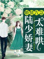 婚情告急：陸少嬌妻太難哄