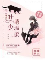 萬金逃妻：葉少請溫柔