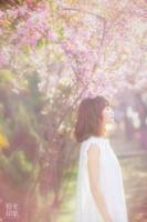 閃婚蜜愛：霸氣總裁別放肆
