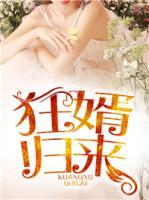 狂婿歸來
