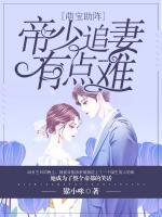 萌寶助陣，帝少追妻有點難