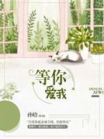 等你愛我