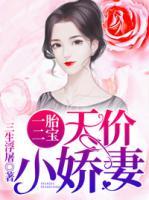 一胎二寶：天價(jià)小嬌妻
