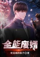 全能廢婿