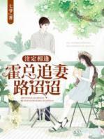 注定相逢：霍總追妻路迢迢