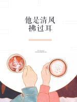 他是清風(fēng)拂過耳