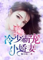 冷少霸寵小嬌妻
