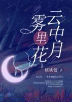 云中月霧里花