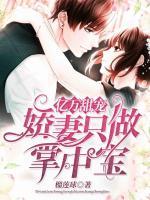 億萬(wàn)甜寵：嬌妻只做掌中寶