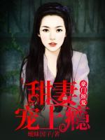 豪門掠愛(ài)：甜妻寵上癮
